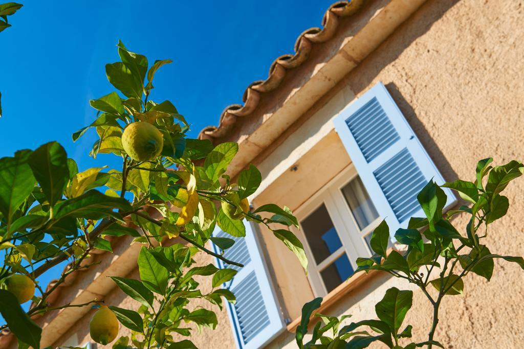 Hotel Protur Residencia Son Floriana Cala Bona  Esterno foto